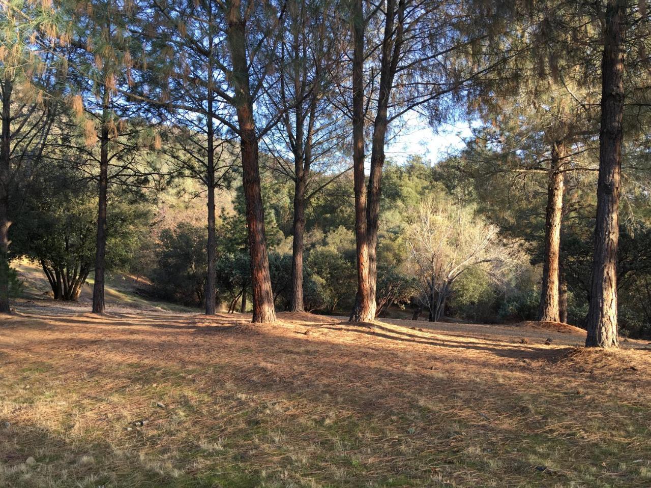 Foxtail Farm Bed & Breakfast Ponderosa Basin Dış mekan fotoğraf